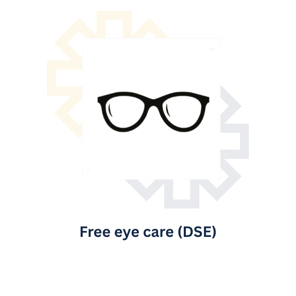 BUDD-DALIAD: CAR LLYGAID AM DDIM (DSE)